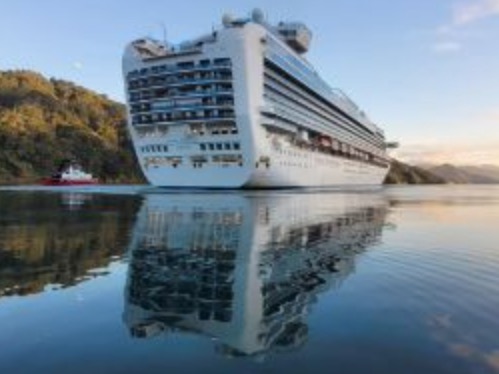 Cruise ship visits to match pre-Covid – Port Marlborough